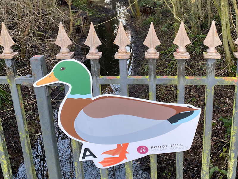 Duck Spotter Trails at Forge Mill