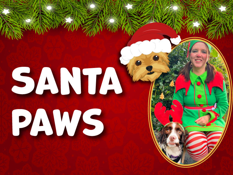 Santa Paws at Forge Mill